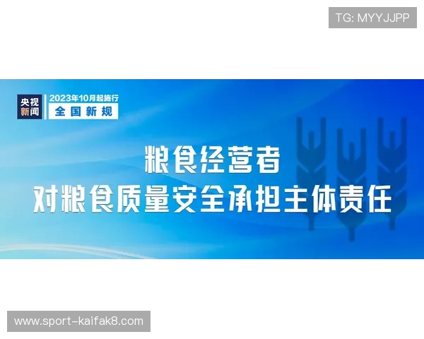 凯发三公安全保障措施，确保玩家资金与个人信息的双重安全
